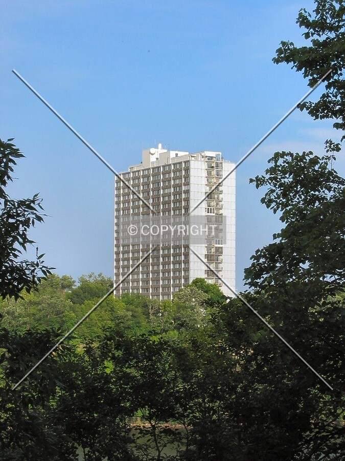 View to the southeast, framed by the trees of West River Road in Minneapolis