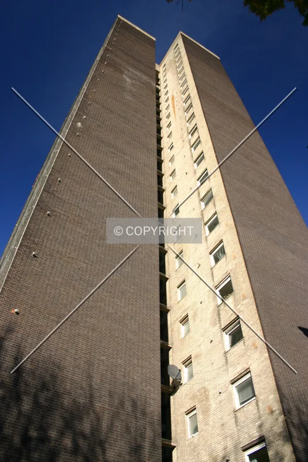 Looking up from the estate