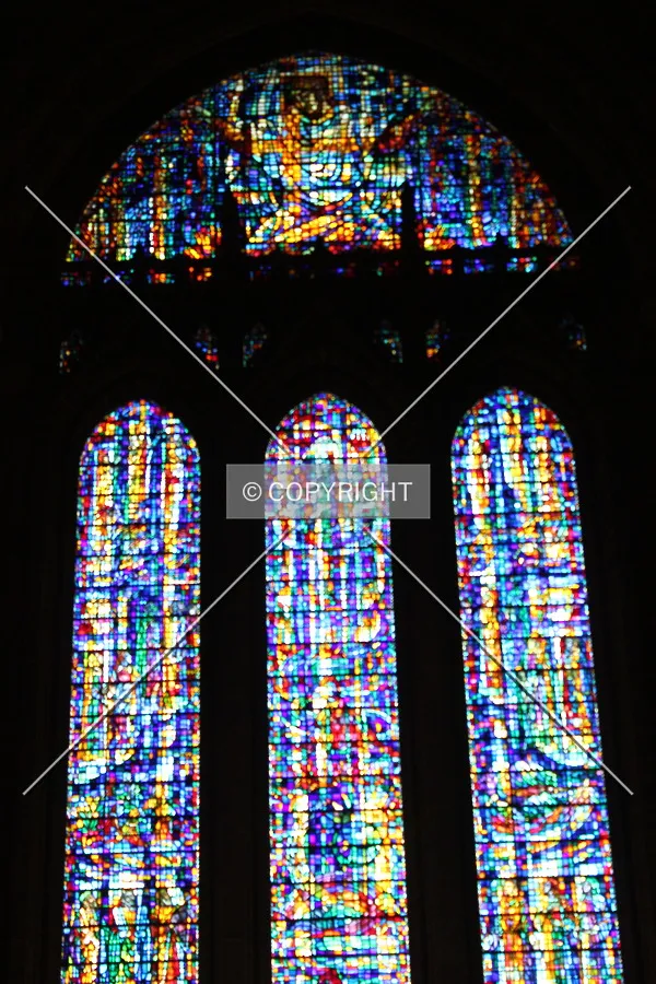 Photo 506-998-708