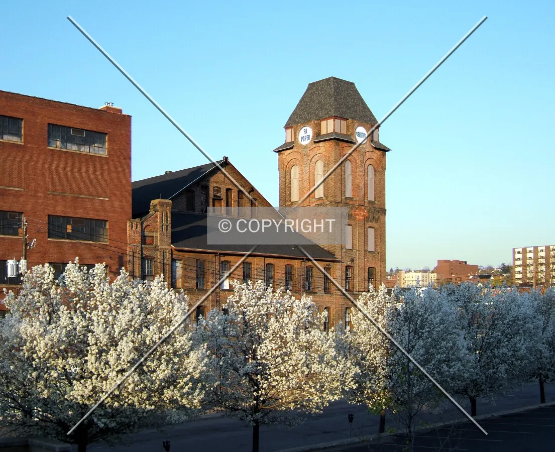 View from the west
