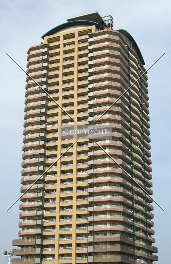 View from the southwest