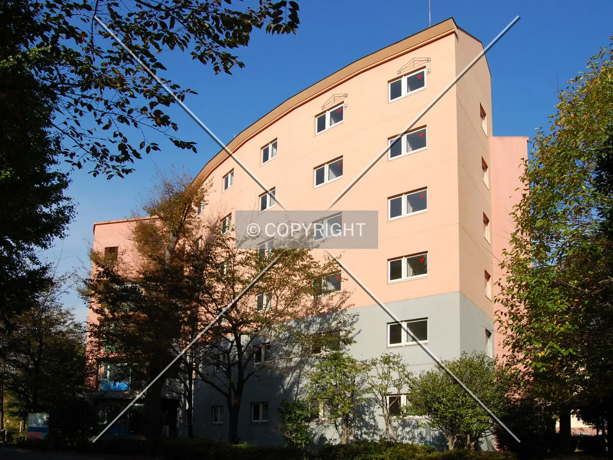 View from the southwest