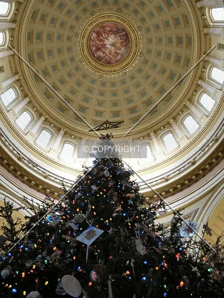 Photo 509-122-372