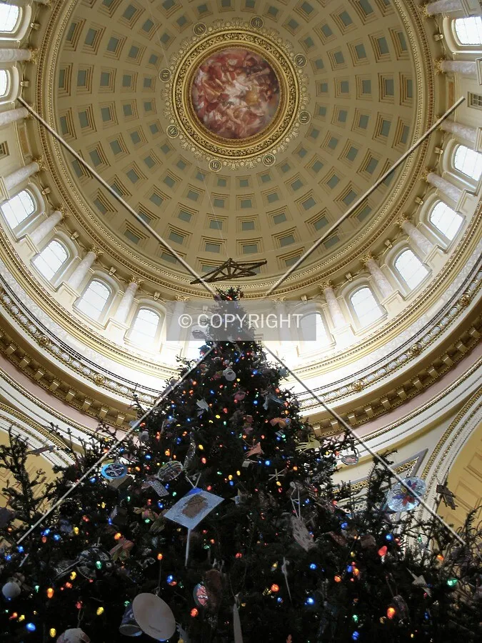 Christmas Tree rising to the dome