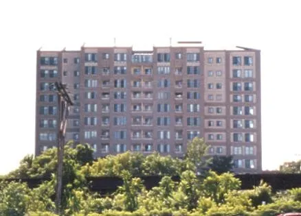 View from the east