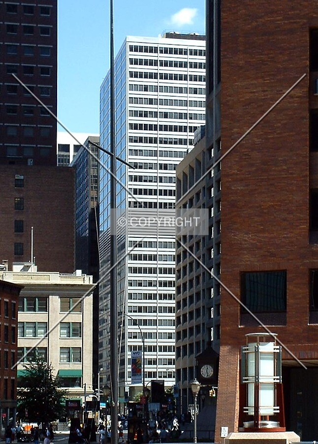 View from the southwest