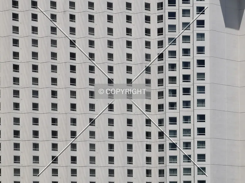 Photo 509-995-480