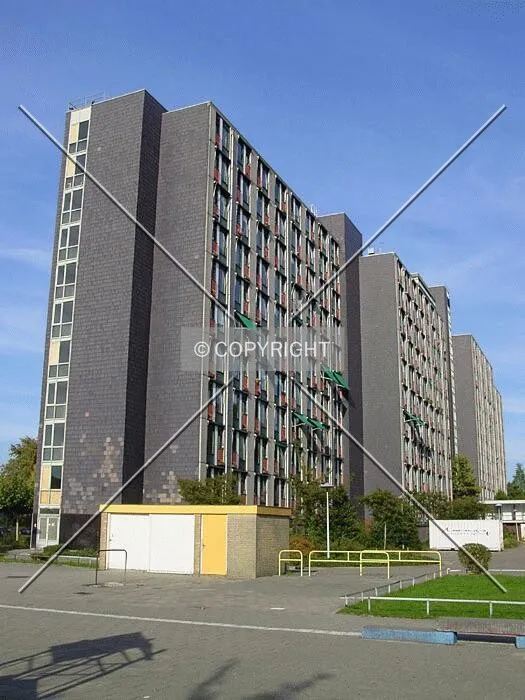 View from school yard