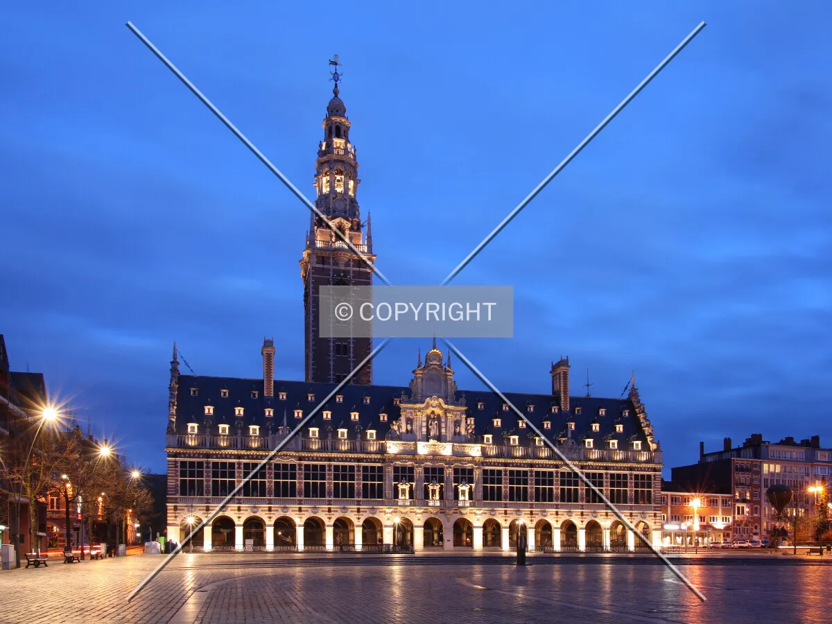 View from Monseigneur Ladeuzeplein