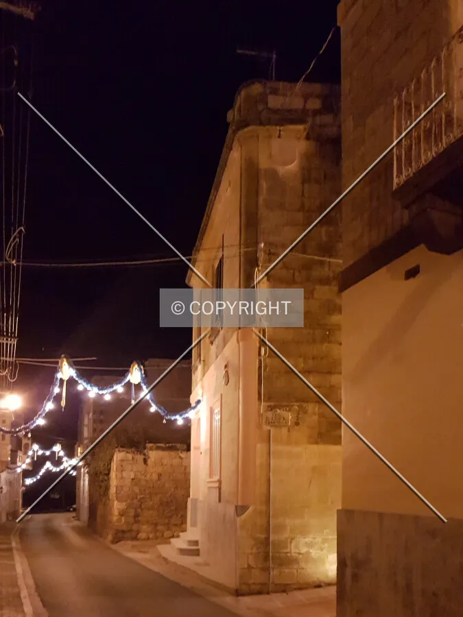 Photo 511-206-384