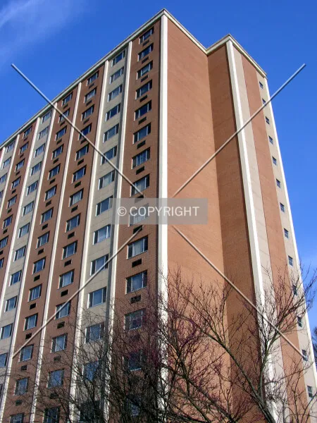 Photo 511-445-372