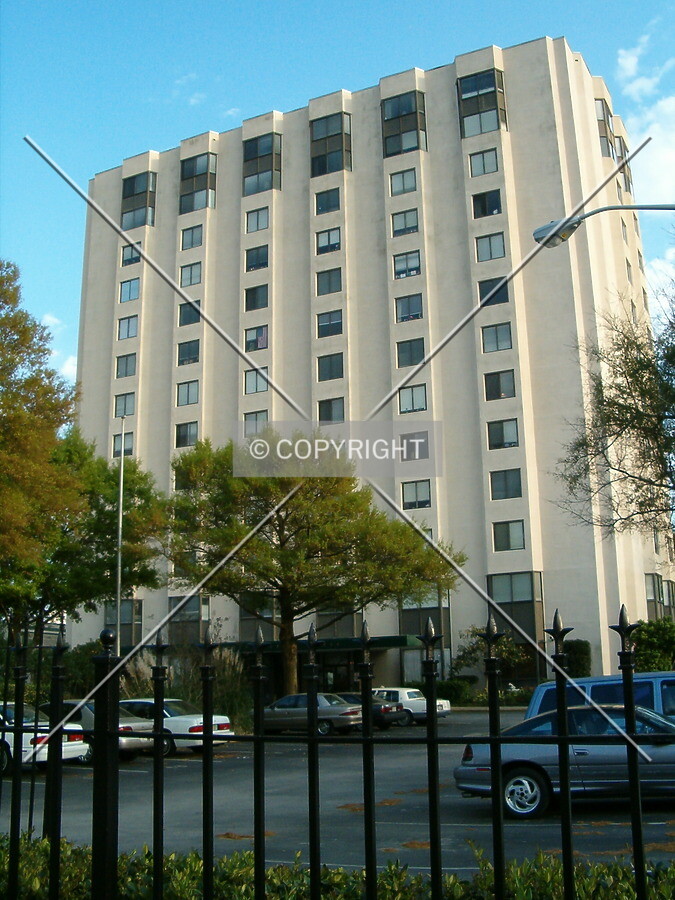 View from the front drive