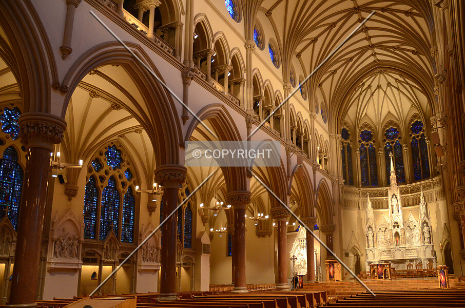 Photo 511-638-671
