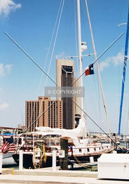 Skyline from the harbor