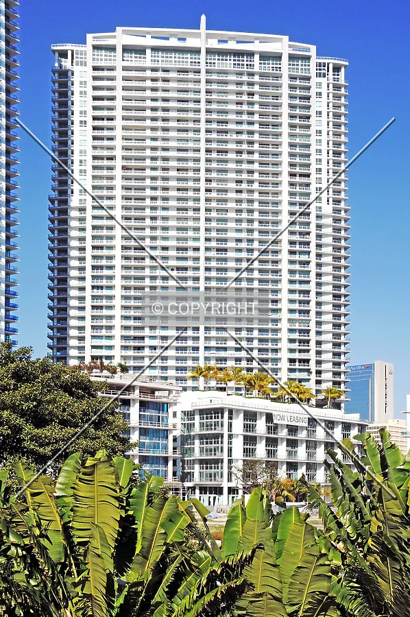 The Ivy, Miami Florida, U.S.A.