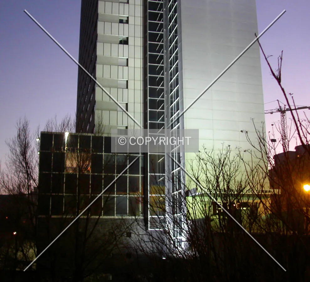 Night view of the lower floors