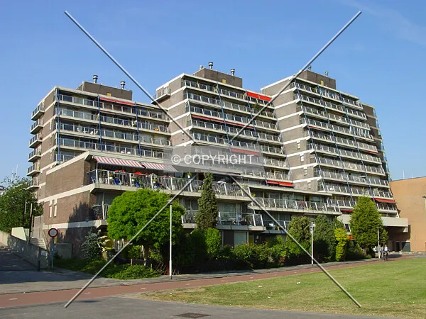 View from the west