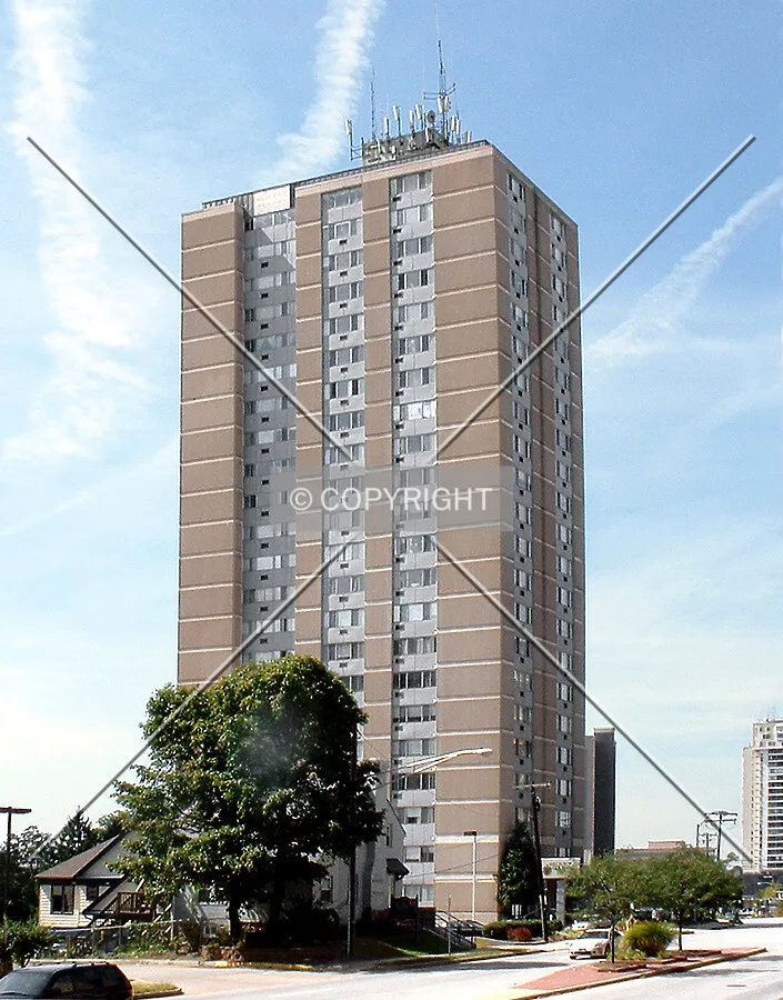 View from the east