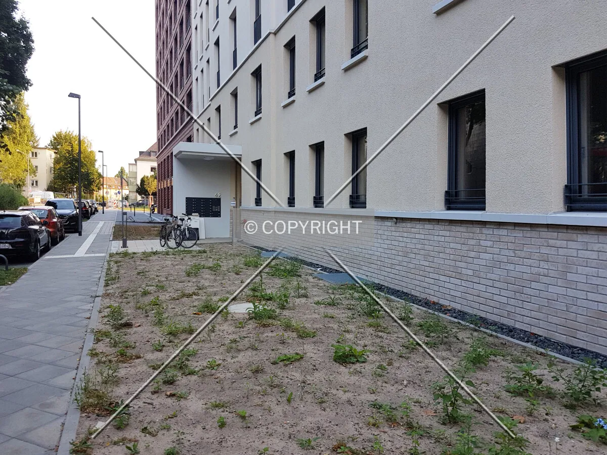 Photo 513-000-989