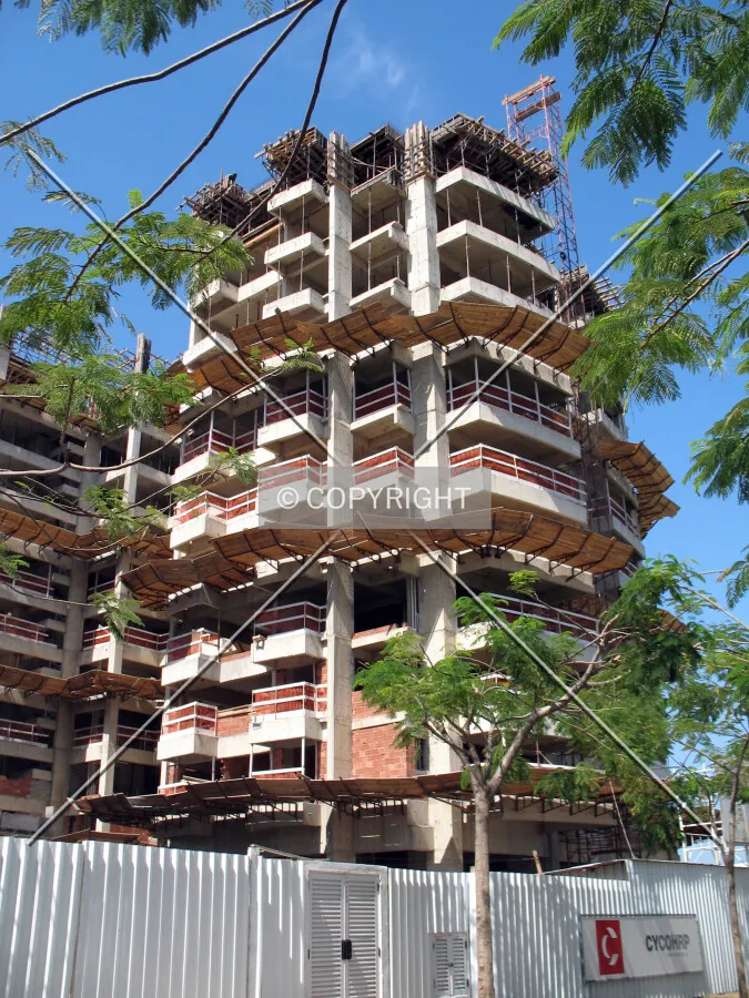 Looking up from Avenida dos Flamboyants