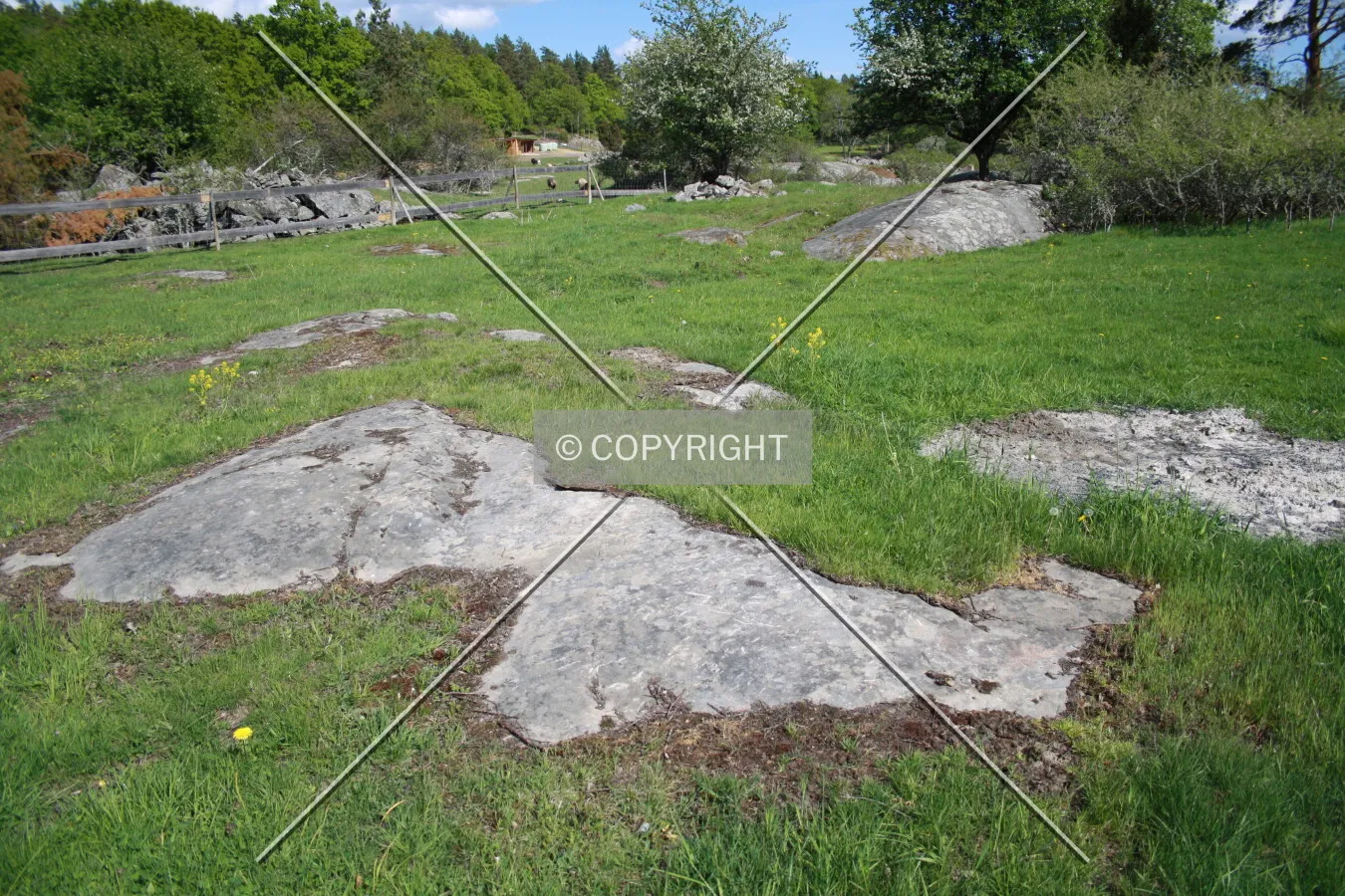 Grass and rocks
