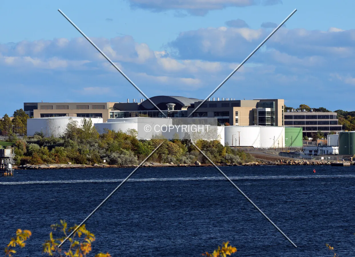 View from the northwest