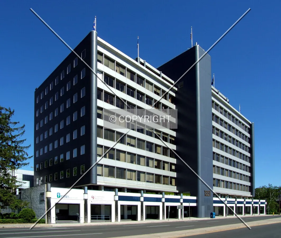 View from the northwest