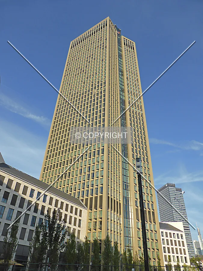 Looking up the tower