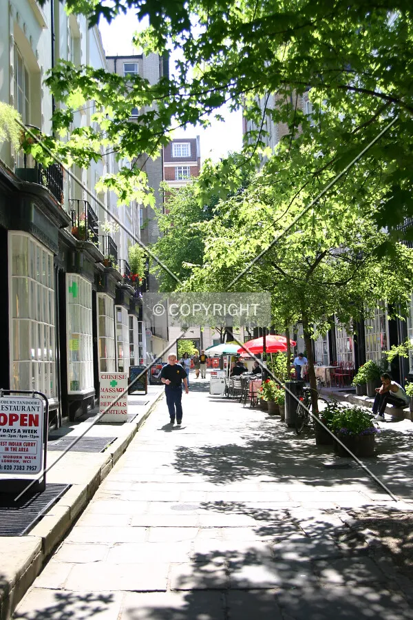 A tree-lined oasis of calm