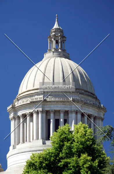 Photo 515-213-760