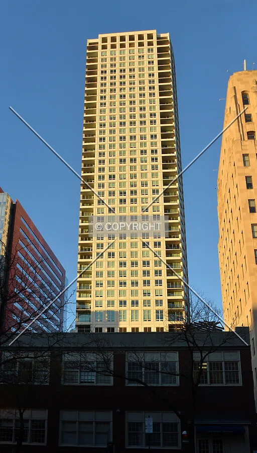 View from the south