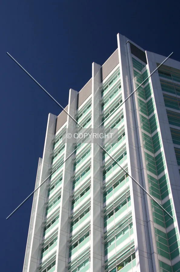 The southeast façade from Gower Street