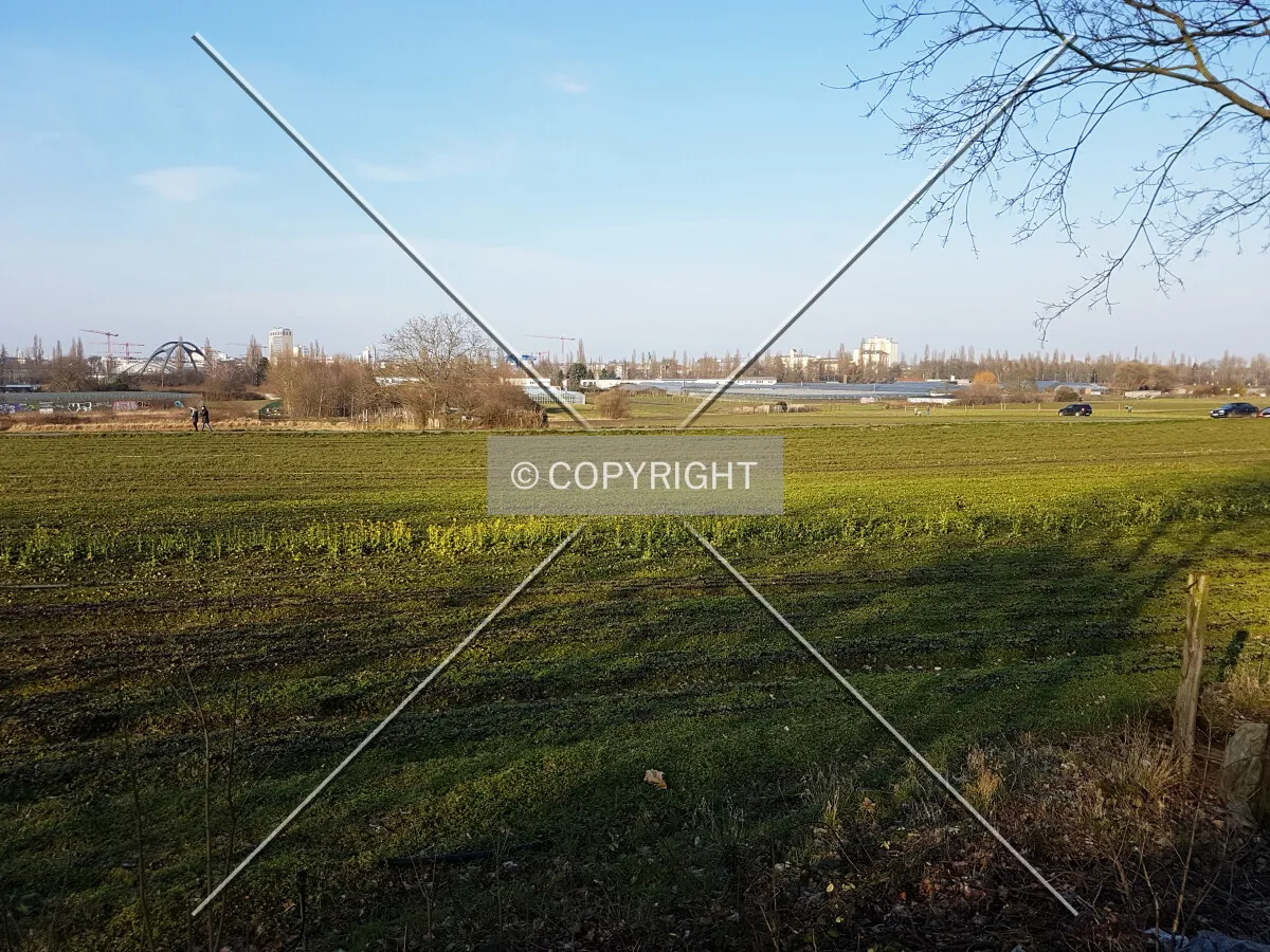 Lawn and fields in Frankfurt Oberrad