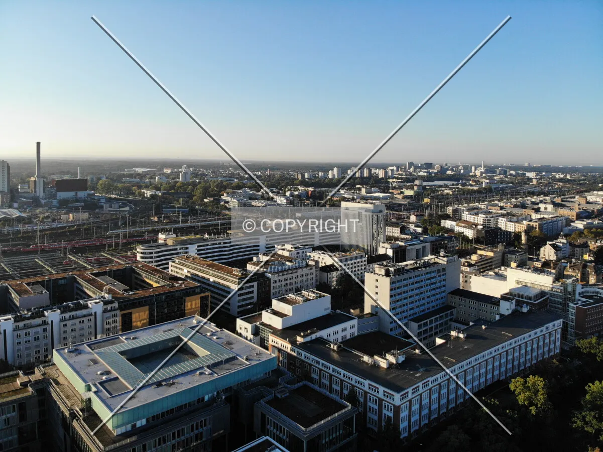 Gallus in Frankfurt