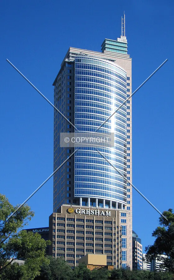 View from the Domain