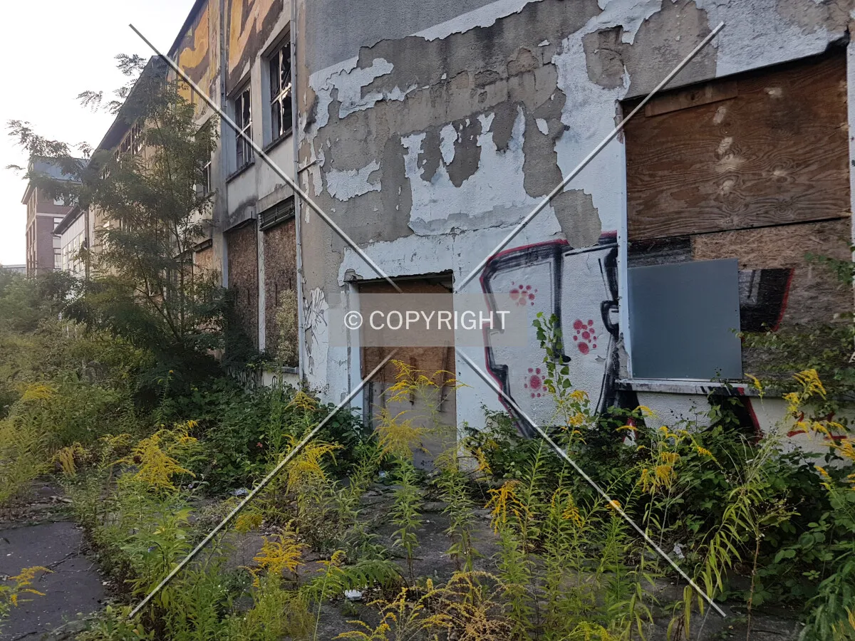 Photo 051-630-569