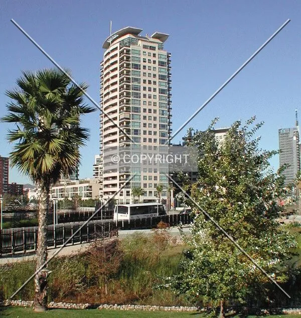 View of the tower from a nearby park