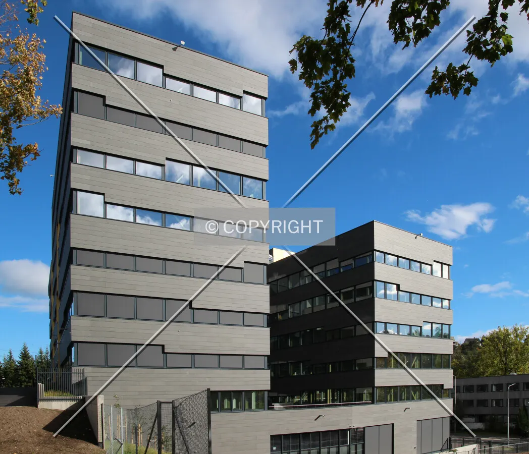 View from the west