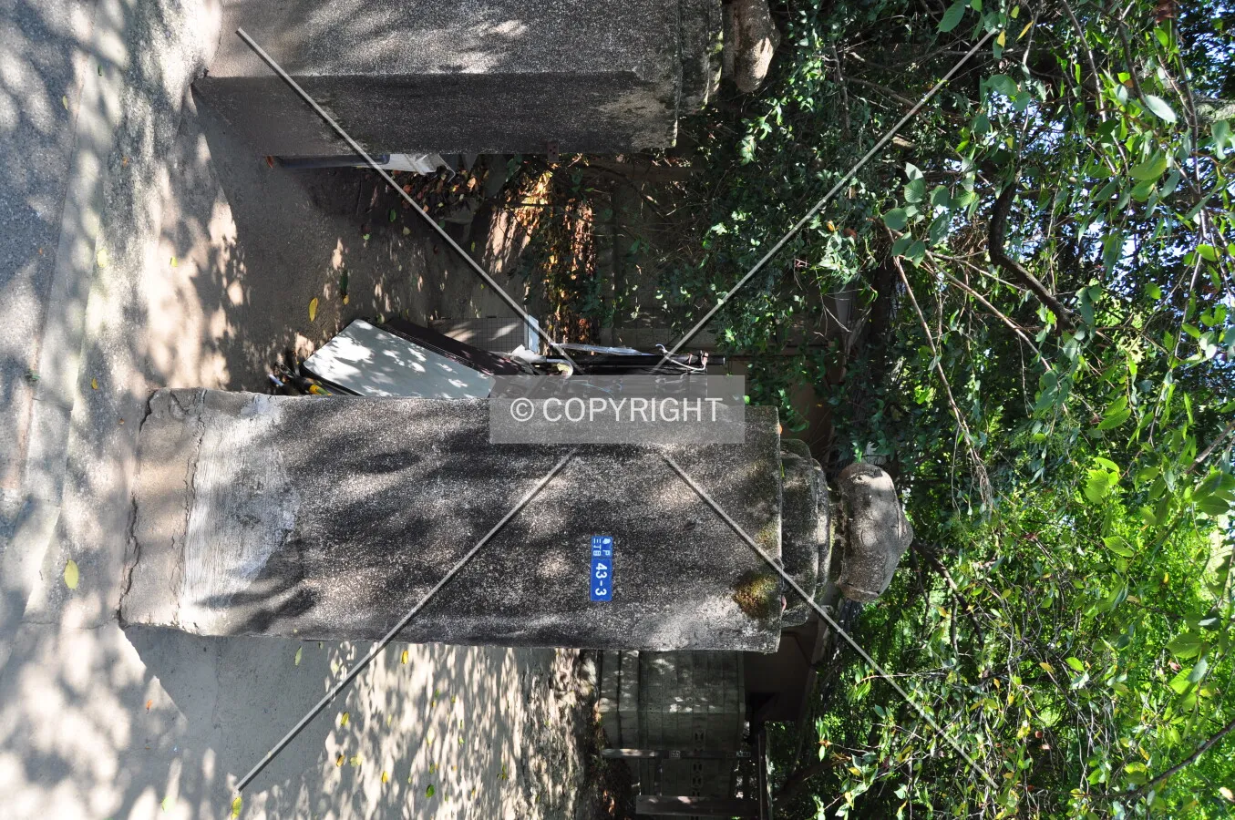 Photo 517-104-087