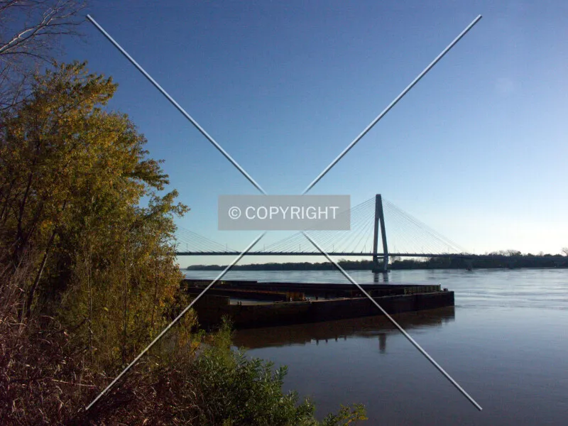 Photo 517-245-324