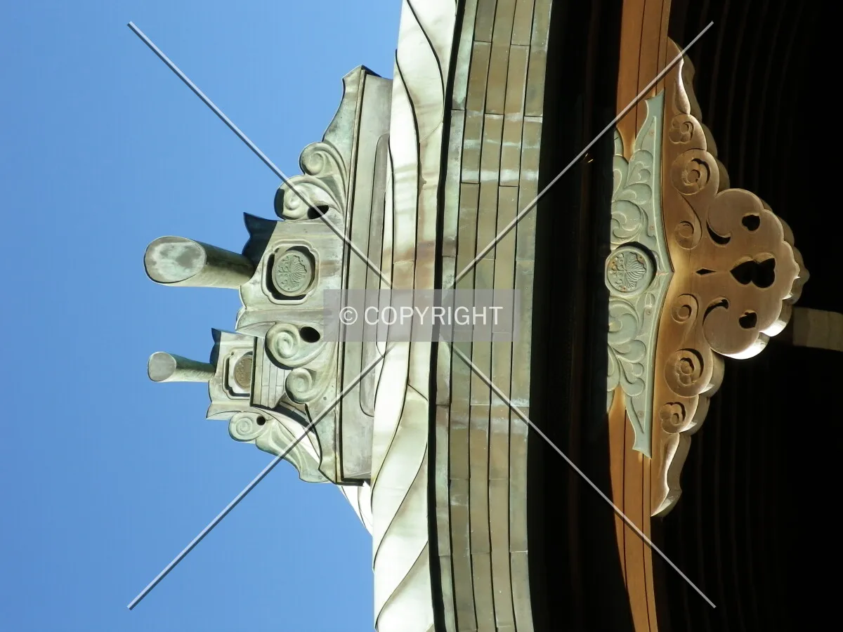Photo 517-293-738