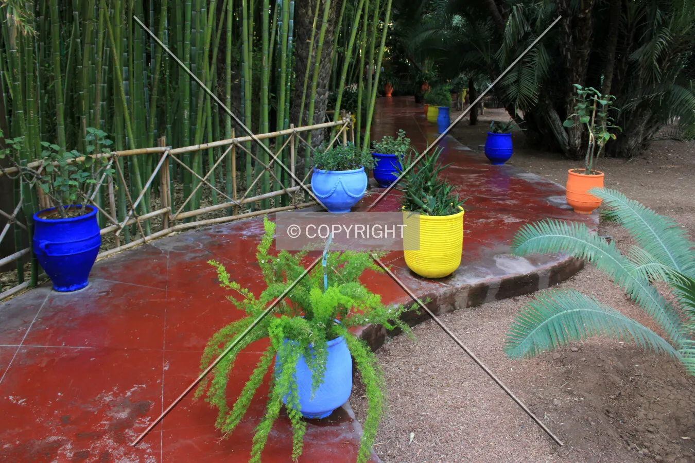 Path in the middle of the Majorelle Gardens