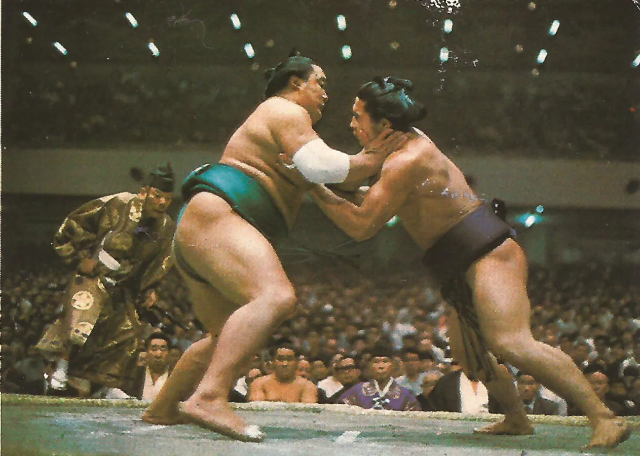 Sumo wrestlers