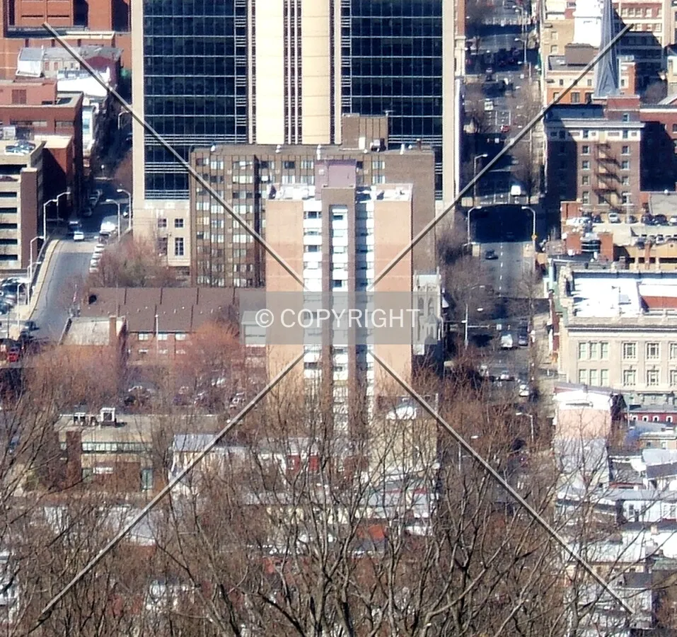View from the east