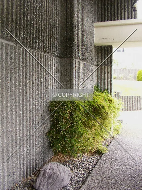 Wall detail