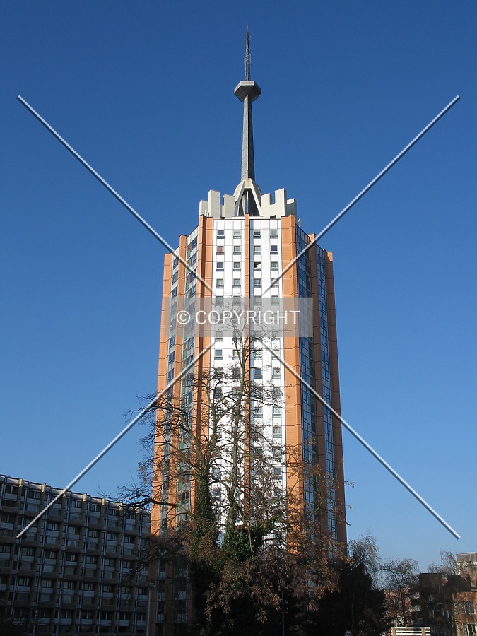 View from the southeast