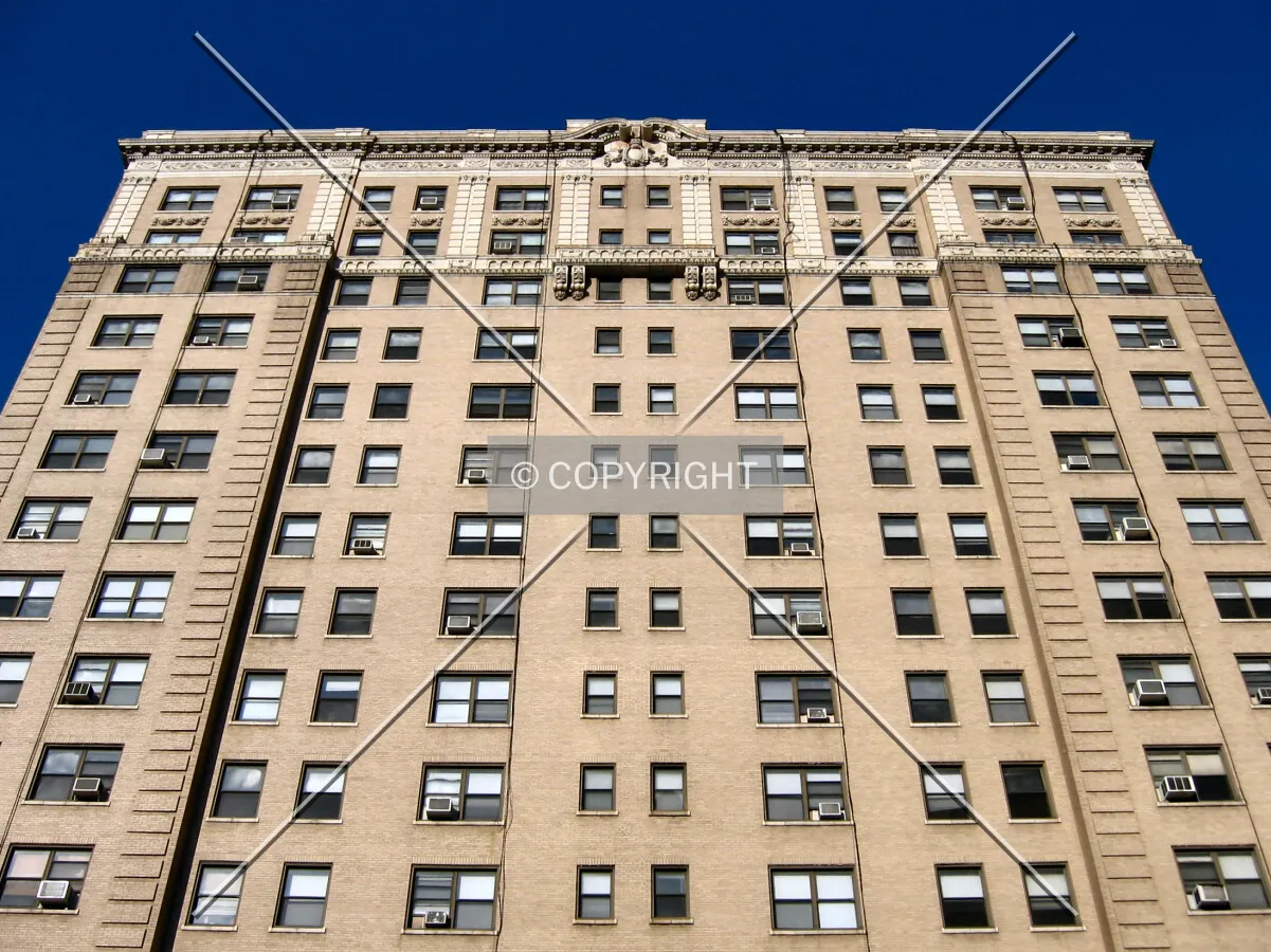 Looking up from Pine Boulevard