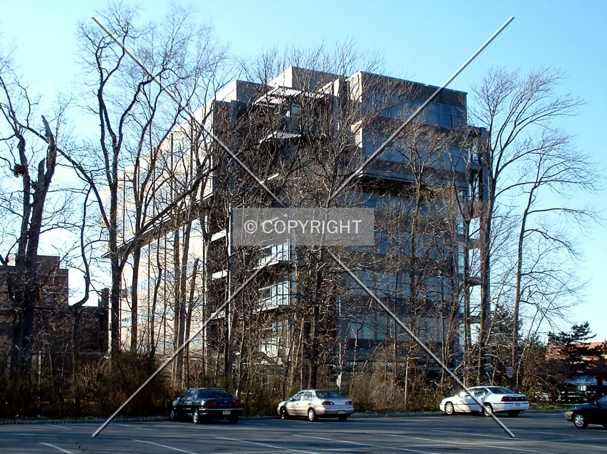 View from the southeast