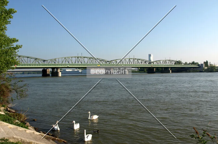 Photo 519-342-205