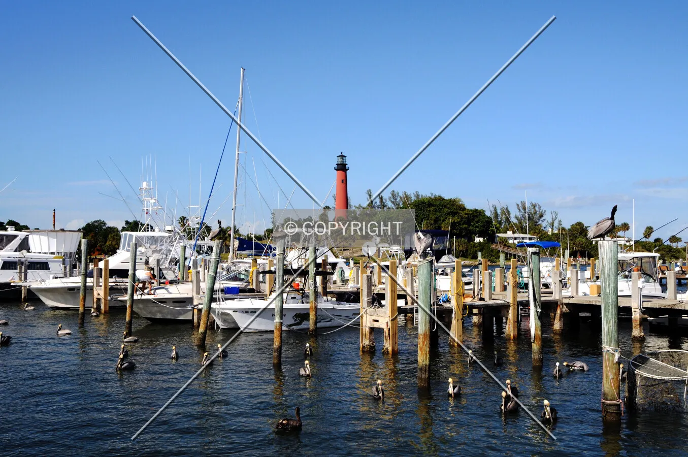 View from the southwest at the marina
